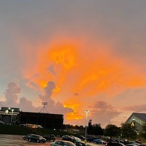 Meet your Posher, Dylan